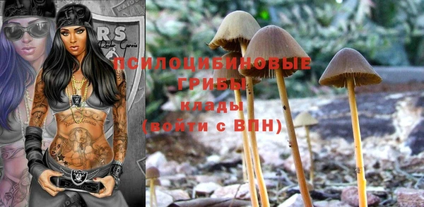 эйфоретик Рославль